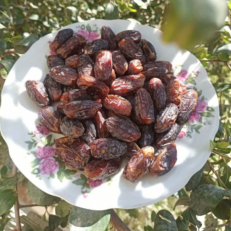photo16628316649