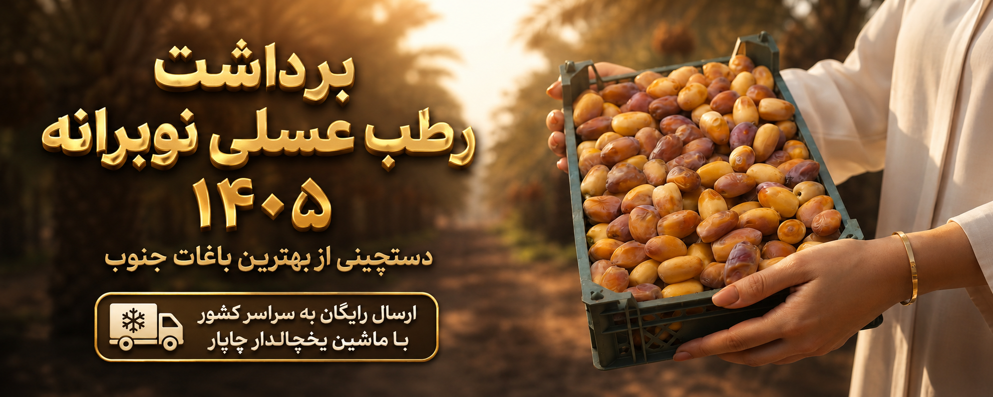رطب عسلی نوبرانه